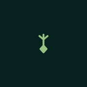 Nymterra AI