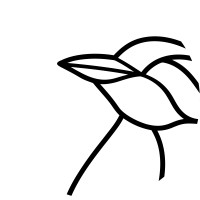 Origanima