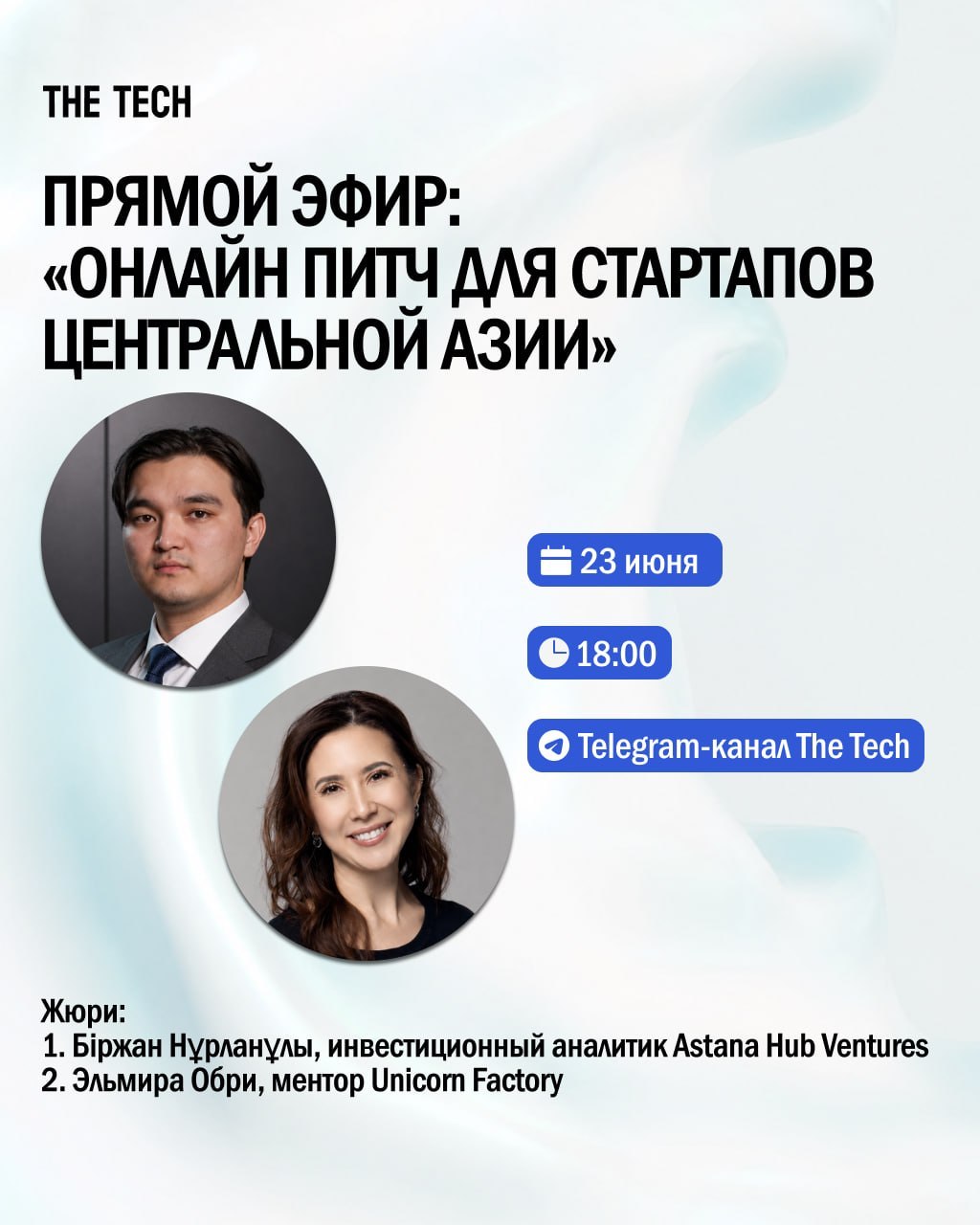 Startup Pitch Review by The Tech